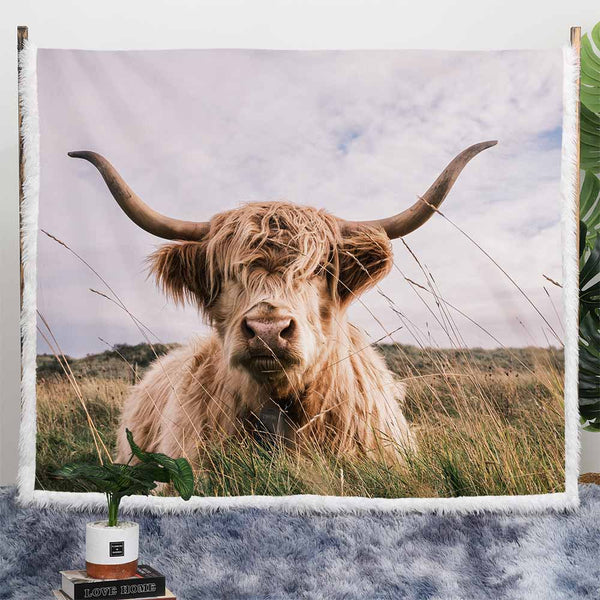 Fluffy Highland Cow Plush Sherpa Blankets Highland Cow Blanket