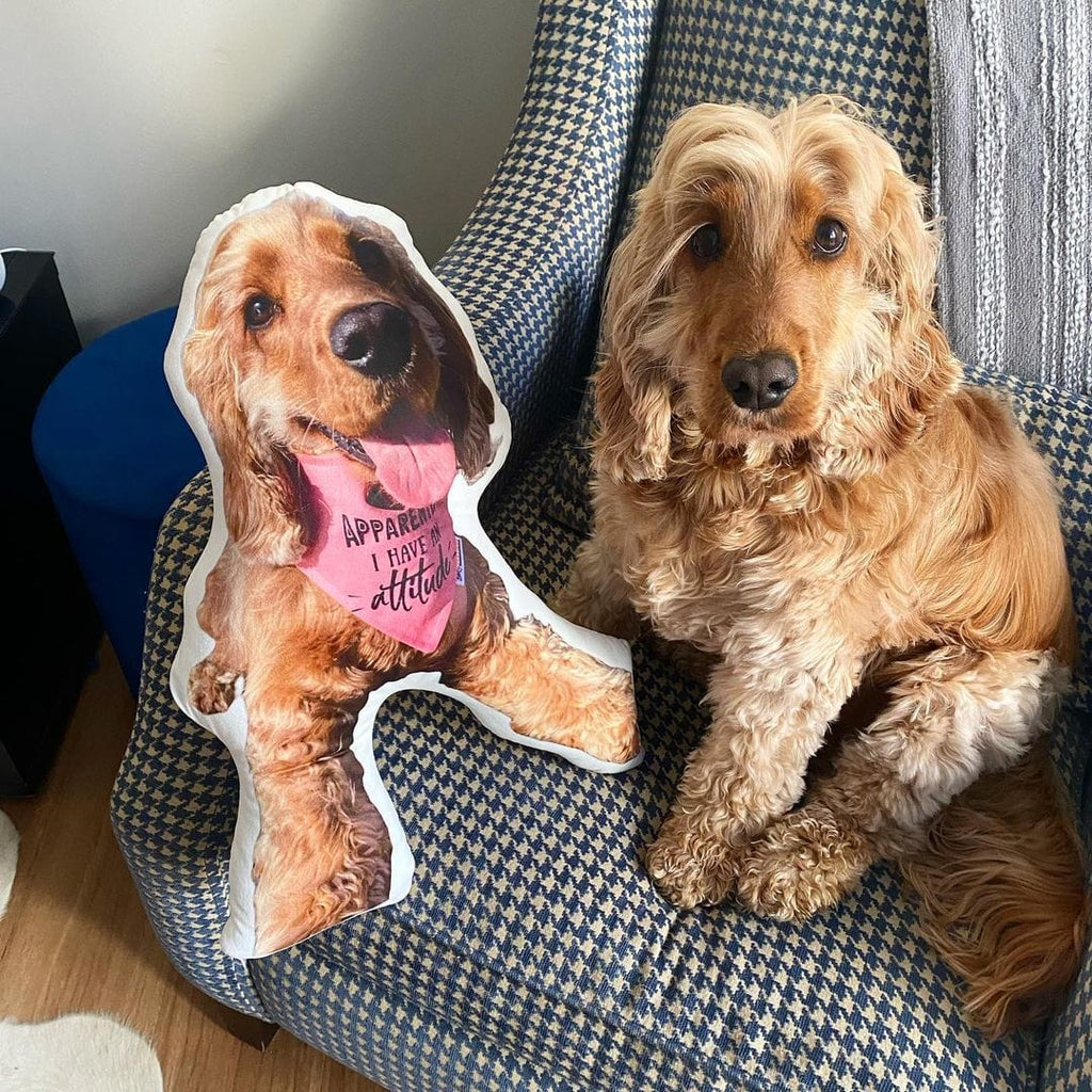 Custom Pet Photo Pillow Australia With Afterpay Little Squiffy